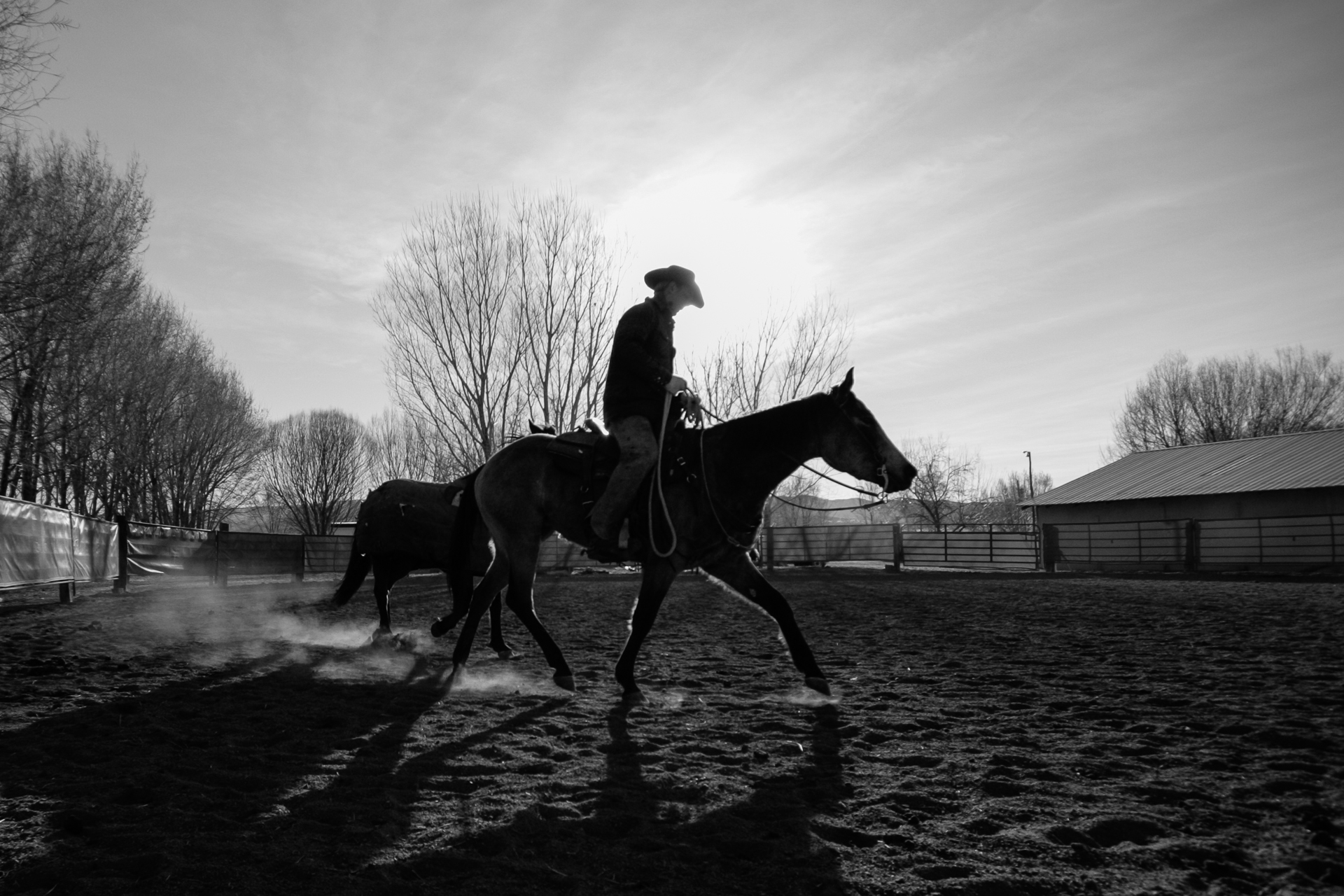 800px_webtb_090228_8165