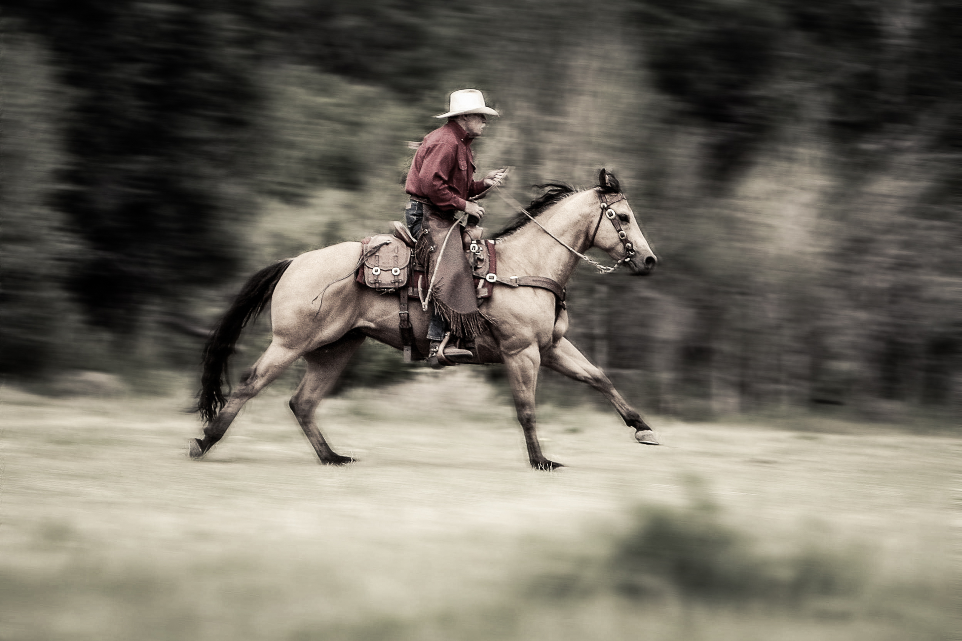 edit_cowboy running_IMG_4389