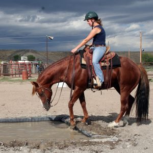 IMG_7464_1