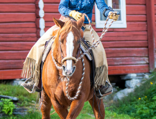 God ridning er ingen gren