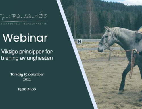 Webinar: Viktige prinsipper for trening av unghesten!