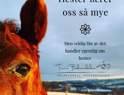 Hester lærer oss så mye