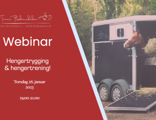 Webinar: Hengertrygging og hengertrening!