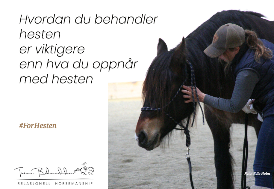Behandlerhesten