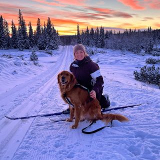 Most days are filled with lots of horse related work, but some days I get to spend with this handsome guy only and they are truly special days! 🥰⛄️🐶